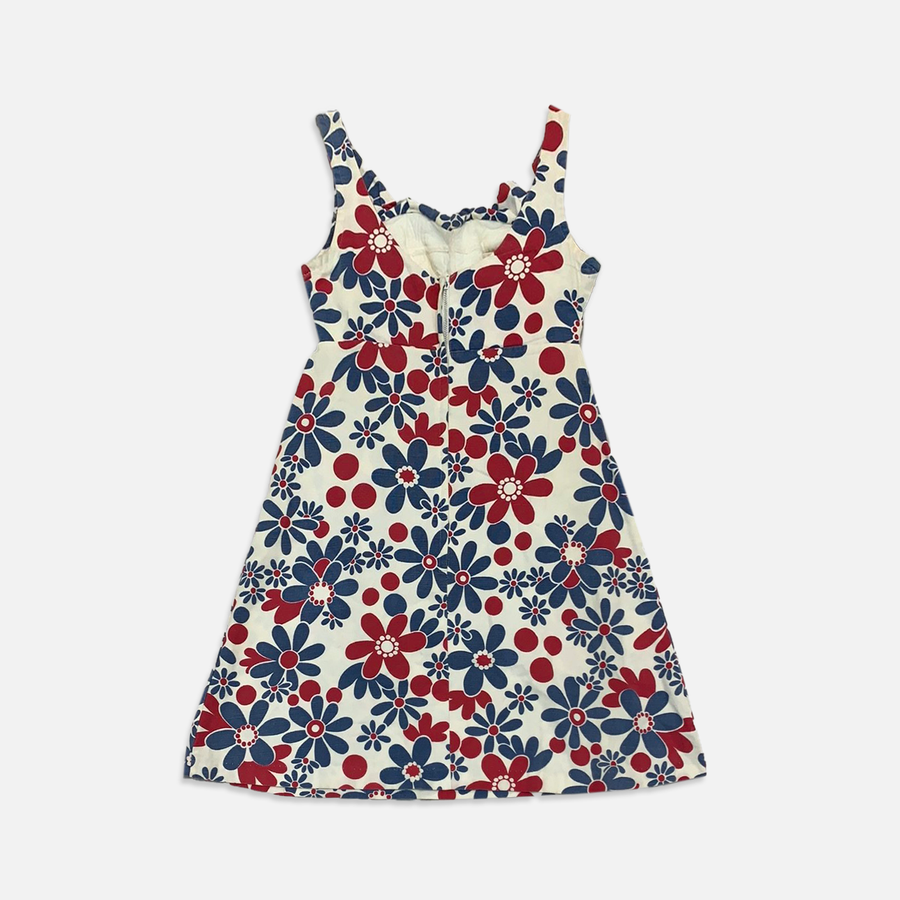 Vintage Red & Blue Dress