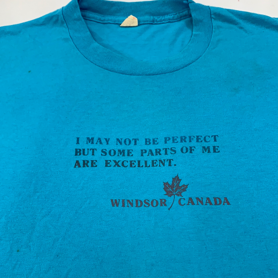 Vintage Windsor Canada t shirt