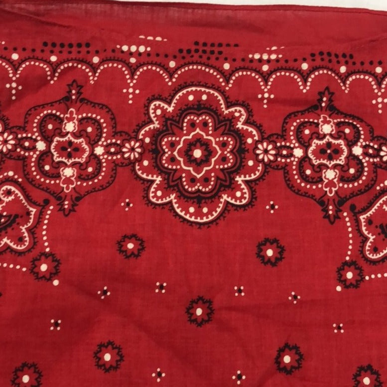 Vintage Red Paisley Top